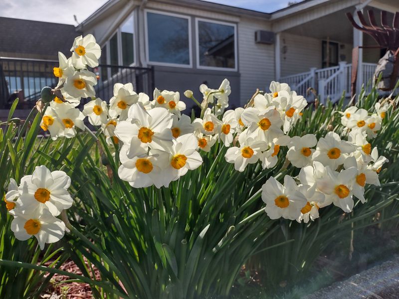 Cypress Springs Restaurant – Kentucky Lake, New Concord