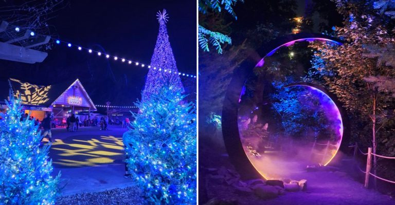 12 Magical Spots In Tennessee Where The Lights Will Leave You In Awe
