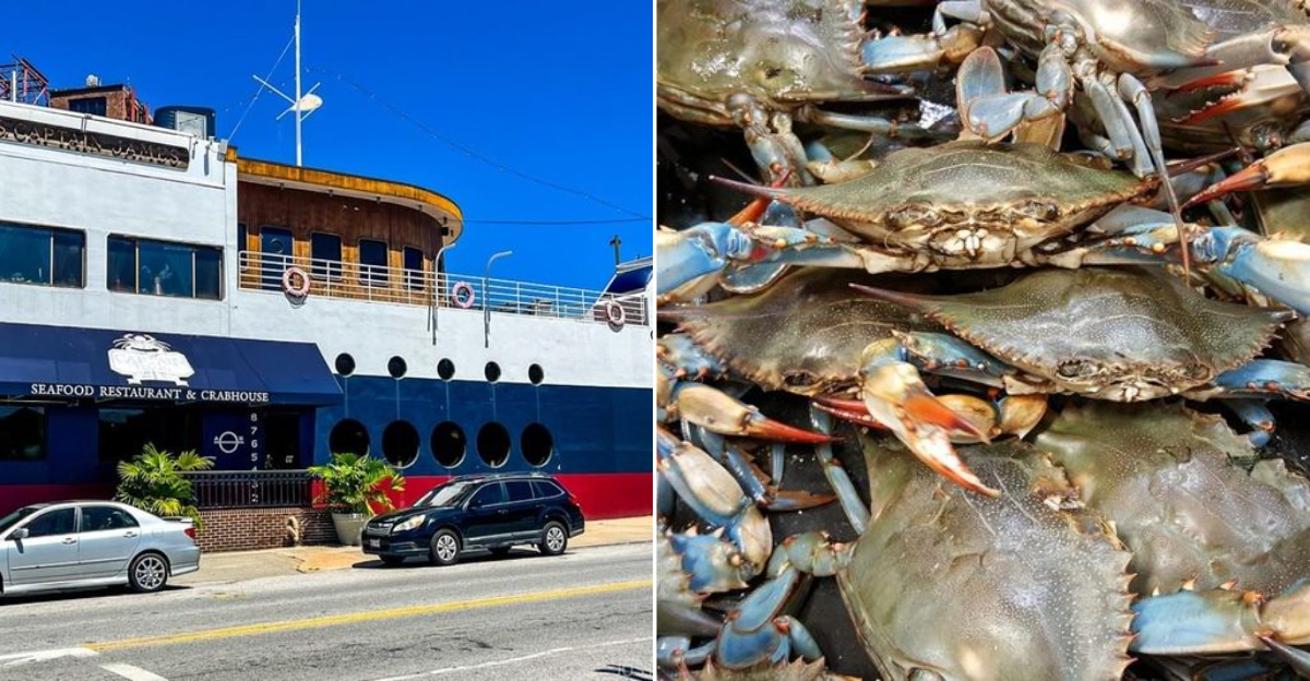 Maryland Crab Buffets That Hook You From the First Crack