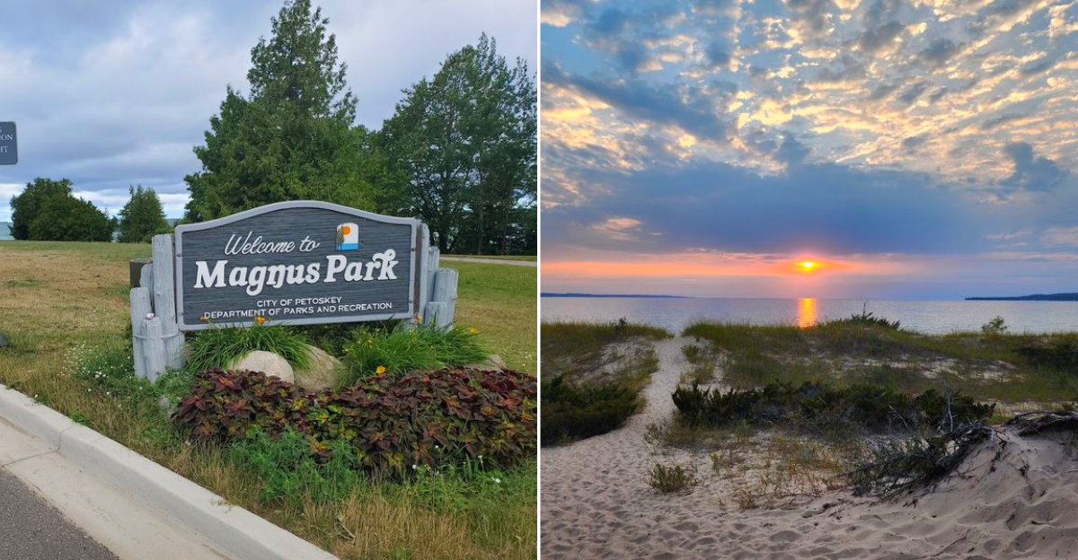 Best Michigan Beaches for Beachcombing