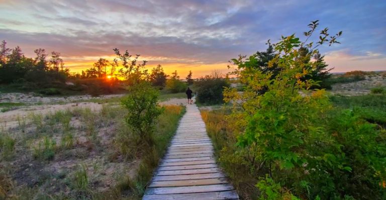 Best Campgrounds in Michigan