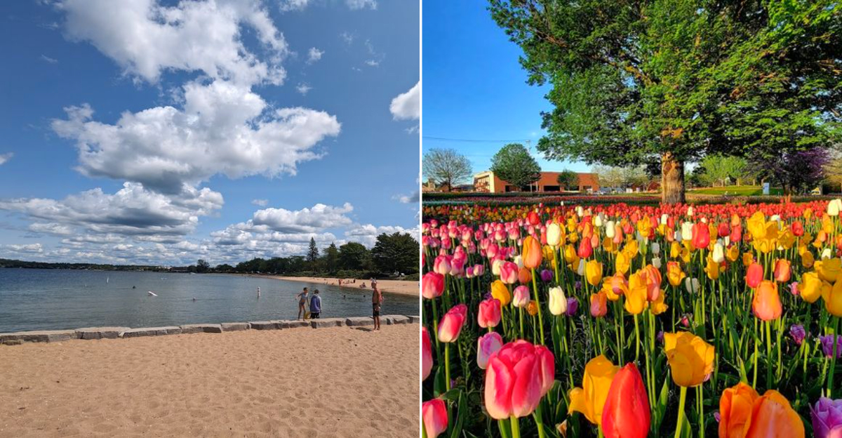 Michigan Day Trips