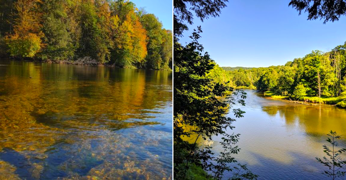 Best Michigan Fishing Spots
