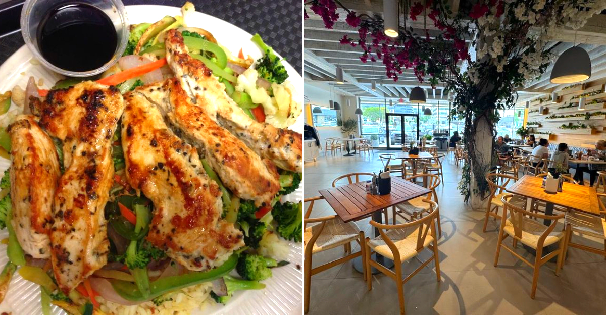 Best Greek restaurants of Michigan