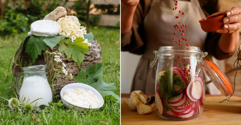 Michigan Picnic Foods