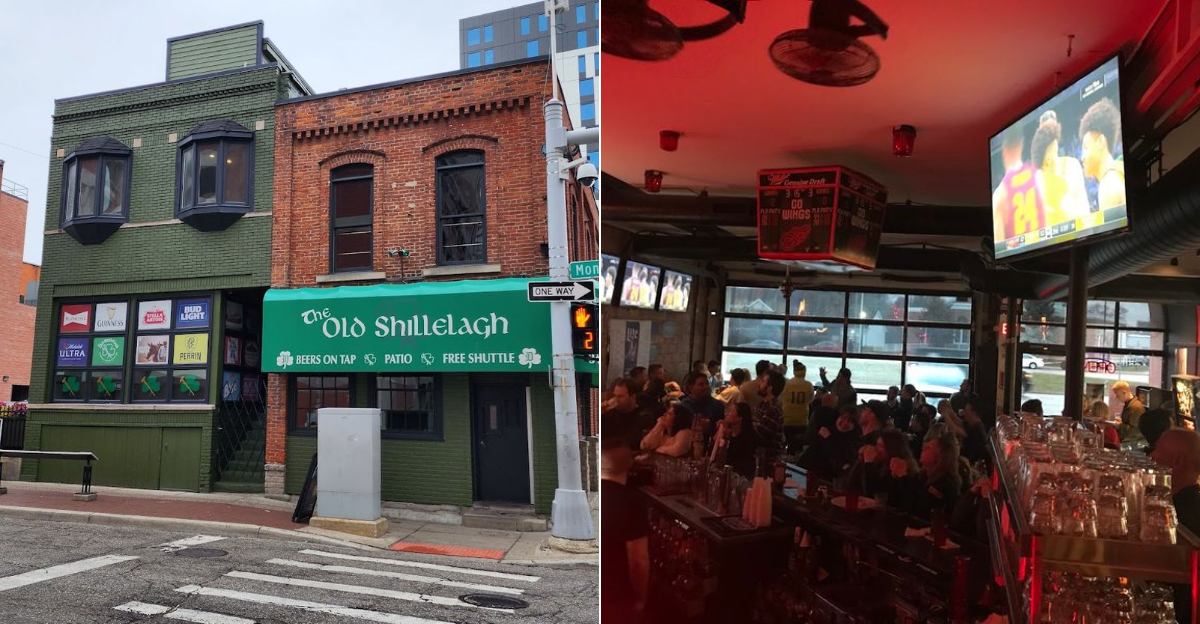 Michigan Spots For World Cup Watching