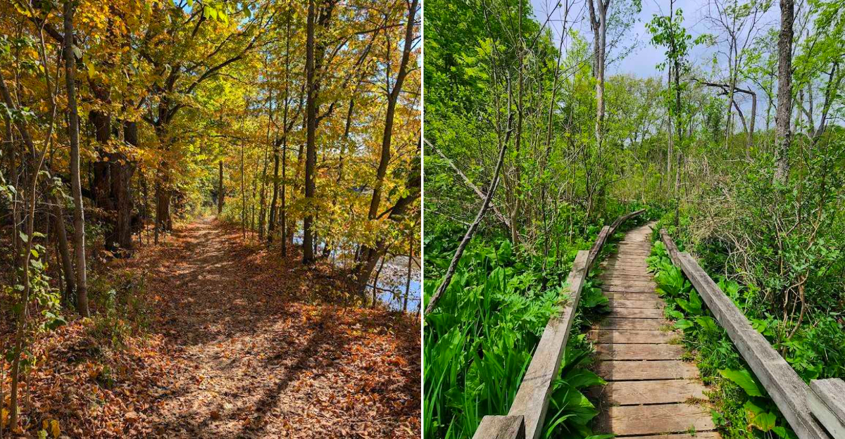Michigan Wildflower Trails