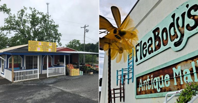 12 North Carolina Flea Markets That Are Perfect For Weekend Treasure Hunting In 2026