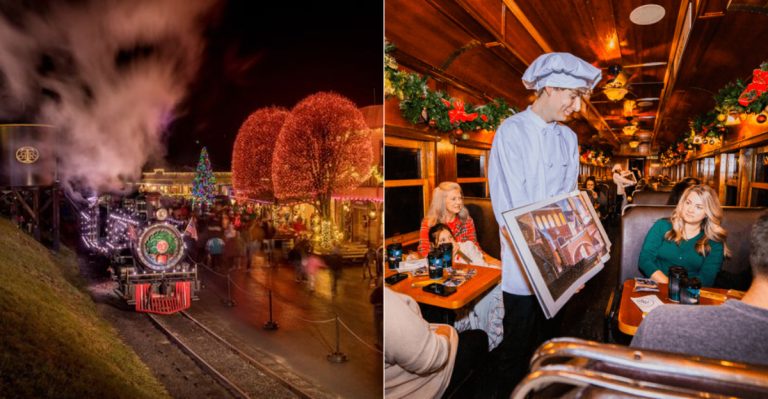 12 North Carolina Winter Train Rides With Stunning Seasonal Views
