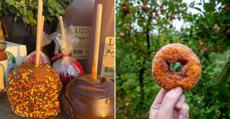 12 Nostalgic Pennsylvania Snacks Locals Crave Every Fall