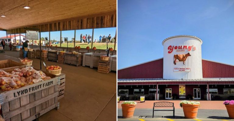 12 Ohio Farm Visits That Are Perfect For A Breezy Spring Afternoon