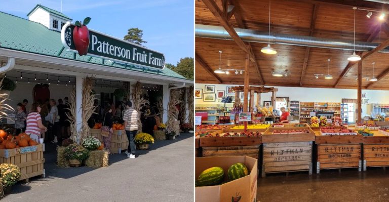 12 Ohio Fruit Farm Bakeries That Make Summer Road Trips Sweeter