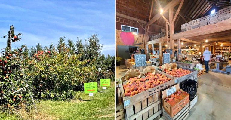 12 Ohio Orchard Trips That Deserve A Special Spot On Your 2026 Travel Calendar