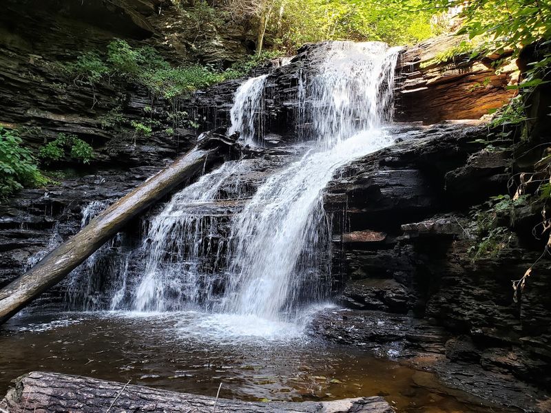 Falls Trail System, Ricketts Glen State Park