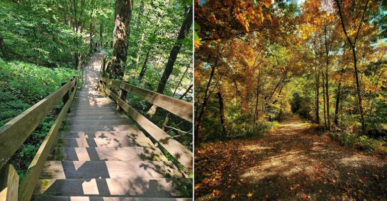 12 Pennsylvania Hiking Trails Worth Discovering In 2026
