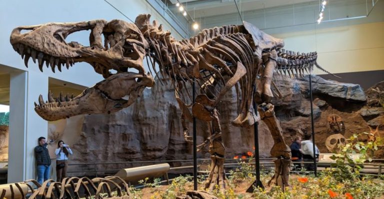 12 Pennsylvania Museums Offering A Perfect Blend Of Beauty And Culture This April