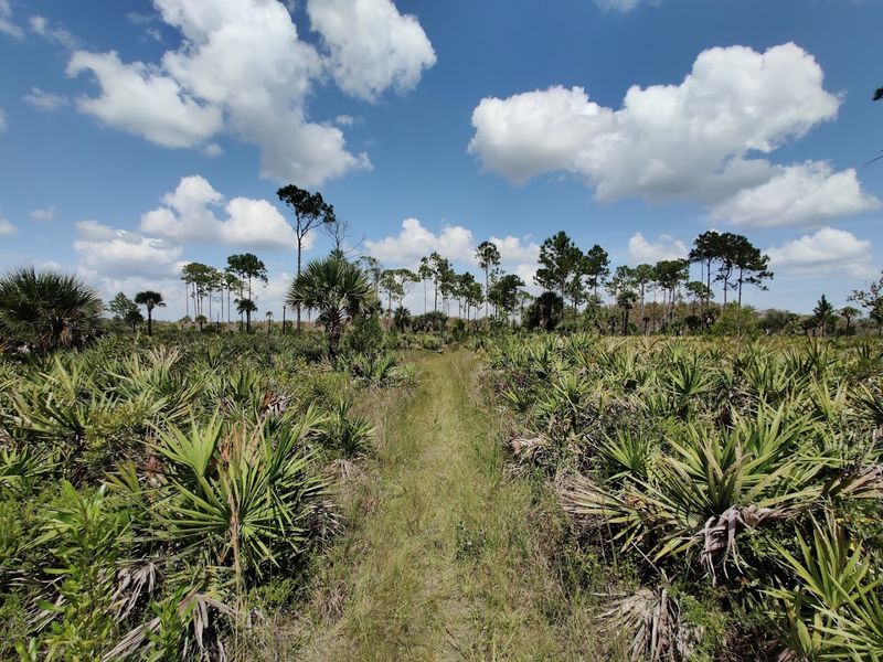 Florida National Scenic Trail