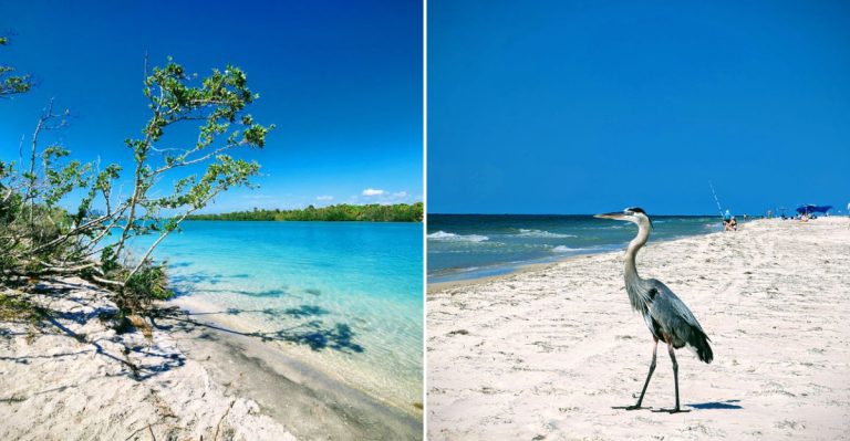 12 Secluded Beach Destinations In Florida For The Perfect Getaway