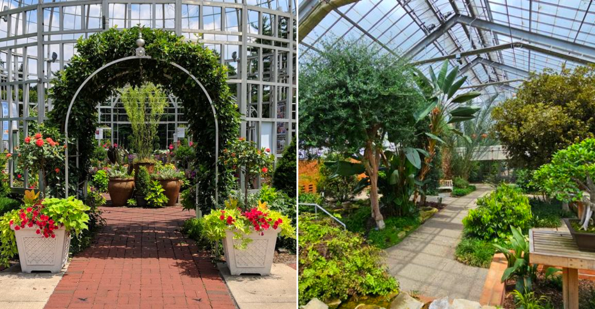 The most beautiful botanical gardens of Michigan