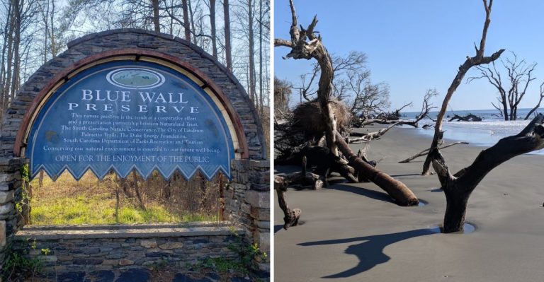 12 Under-The-Radar Things To Do In South Carolina That Even Locals Don’t Know About