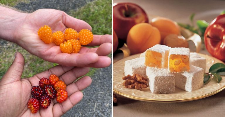 12 Washington Foods That Outsiders Always Mispronounce (But Locals Say With Pride)