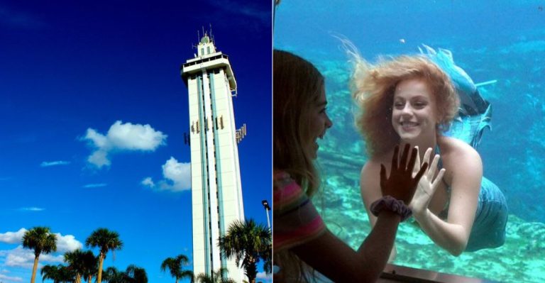 12 Weird Roadside Attractions In Florida That Families Still Stop For