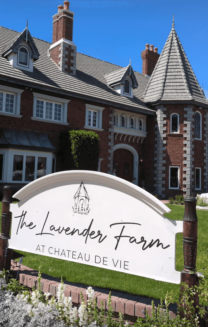 The Lavender Farm At Chateau De Vie, Chandler