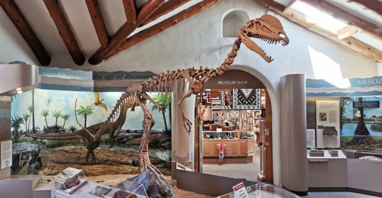 13 Arizona Museums To Explore This Spring For A Day Of Beauty And Culture