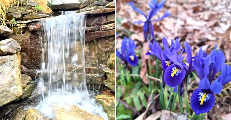 13 Beautiful Ohio Gardens And Arboretums To Explore This April