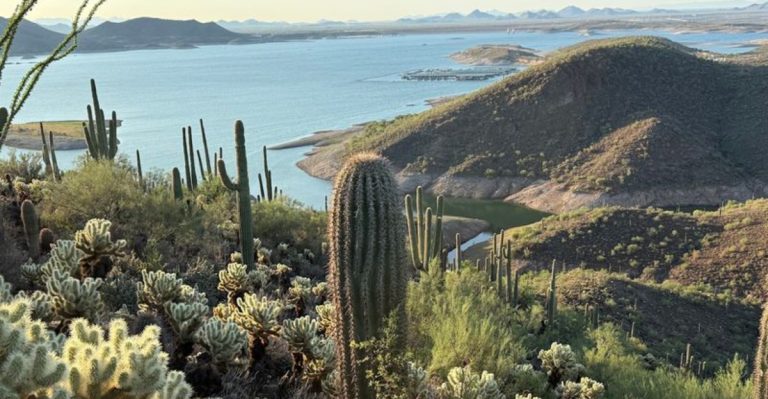 13 Charming Arizona Lakeside Day Trips That Are The Perfect Way To Spend Easter Weekend