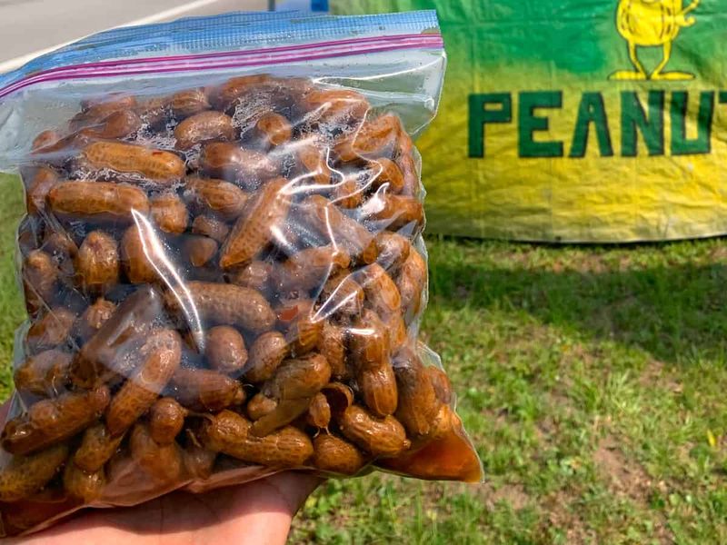 Boiled Peanuts: The Unofficial State Snack