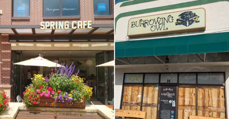 13 Colorado Plant-Based Spots That Convert Even Hard-Core Carnivores