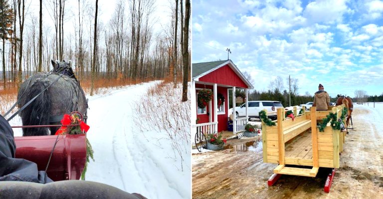 Best sleigh rides in Michigan