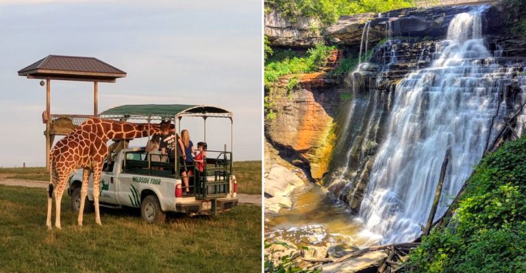 13 Day Trips In Ohio That Promise Unforgettable Experiences