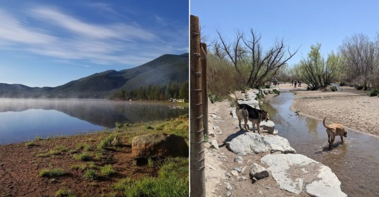 13 Dog-Friendly Beaches Every Colorado Pet Parent Needs To Know
