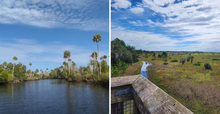 13 Fascinating State Parks In Florida That Most People Have No Idea Exist