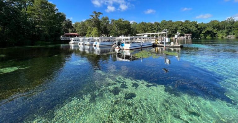 13 Florida Creekside Parks That Are Peaceful June Day Trips