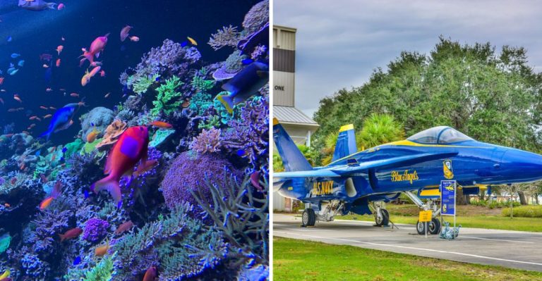 13 Florida Museums To Explore This April For A Day Of Beauty And Culture