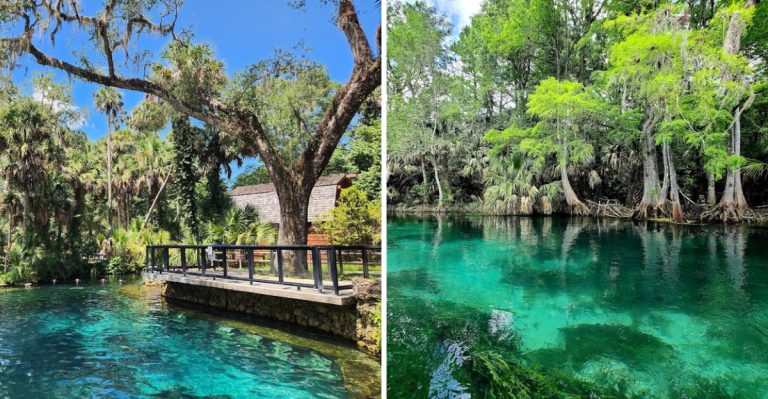13 Florida Spring Day Trips That Feel Like A Little Bit Of Magic