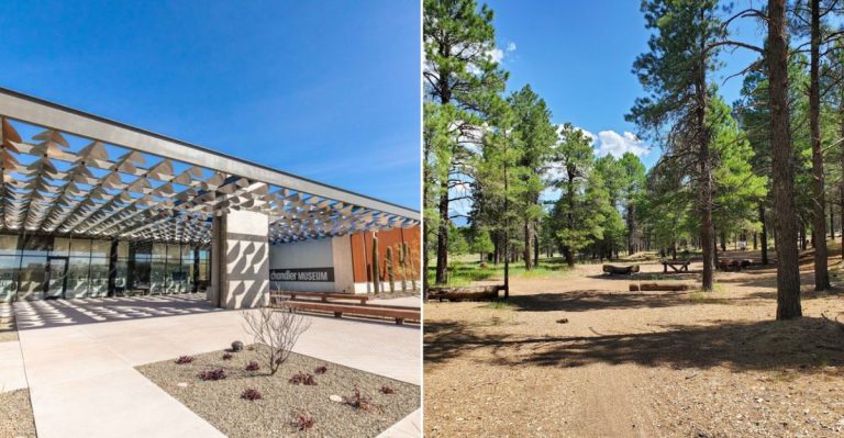 13 Free Arizona Summer Activities That Are Actually Worth Leaving Home For