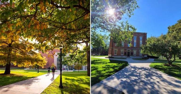 13 Illinois College Campuses That Offer Surprisingly Pretty Walks In 2026