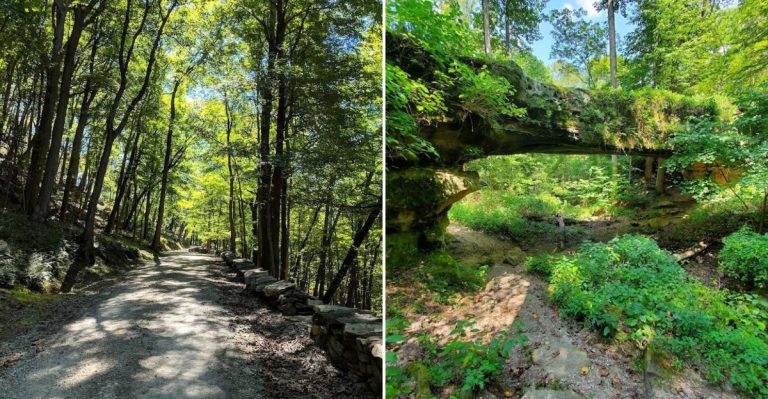 13 Illinois Hikes Under Five Miles With Gorgeous Views