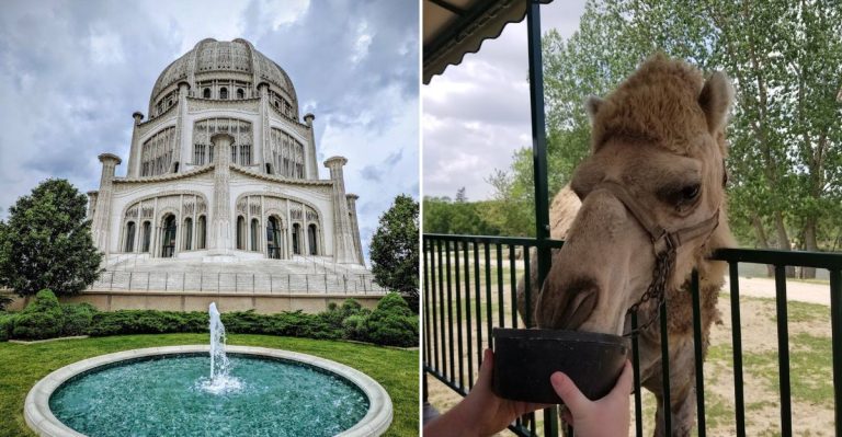 13 Illinois Places That Feel Like You Escaped The Midwest In 2026