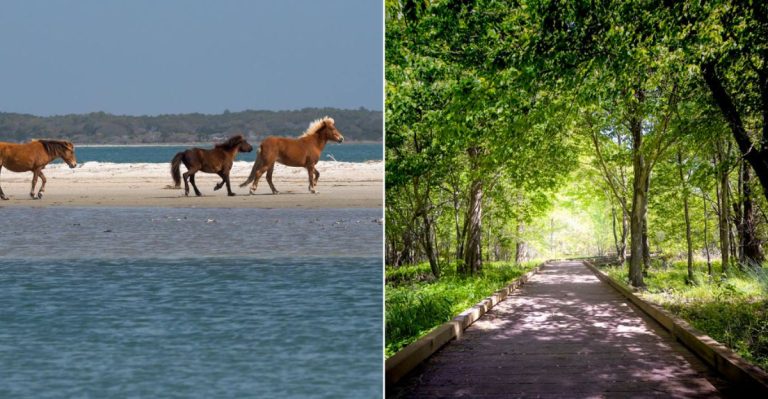 13 North Carolina Spots That Are Quietly Spectacular And Underrated