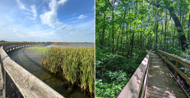 13 Ohio Boardwalk Trails That Make Beautiful Nature Feel Easy To Reach This June