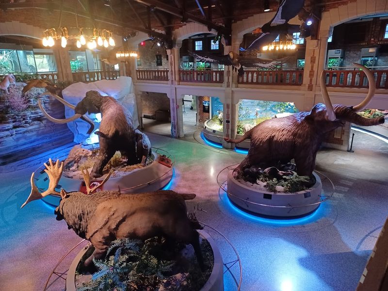 Toledo Zoo & Aquarium, Toledo, Ohio