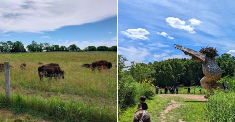 13 Ohio Nature Centers That Make Family Trips Easy And Wonderful In 2026