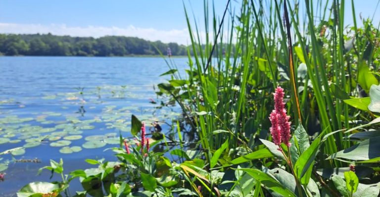13 Ohio State Parks That Truly Shine In April