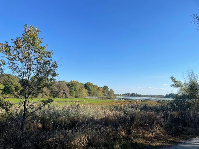Big Boardwalk Loop Trail