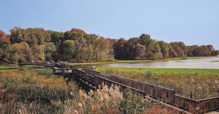 13 Pennsylvania Trails Featuring Boardwalks And Wildlife That Promise Adventure